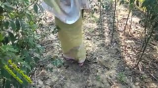 Indian Outdoor Desi Sex In Jungle Xxx